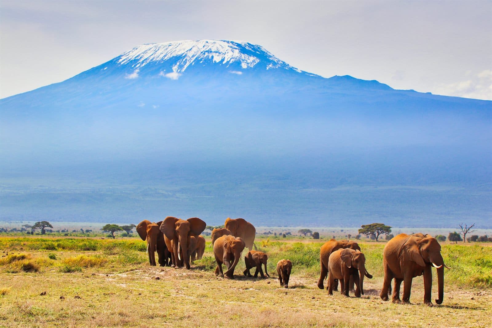 Amboseli National Park