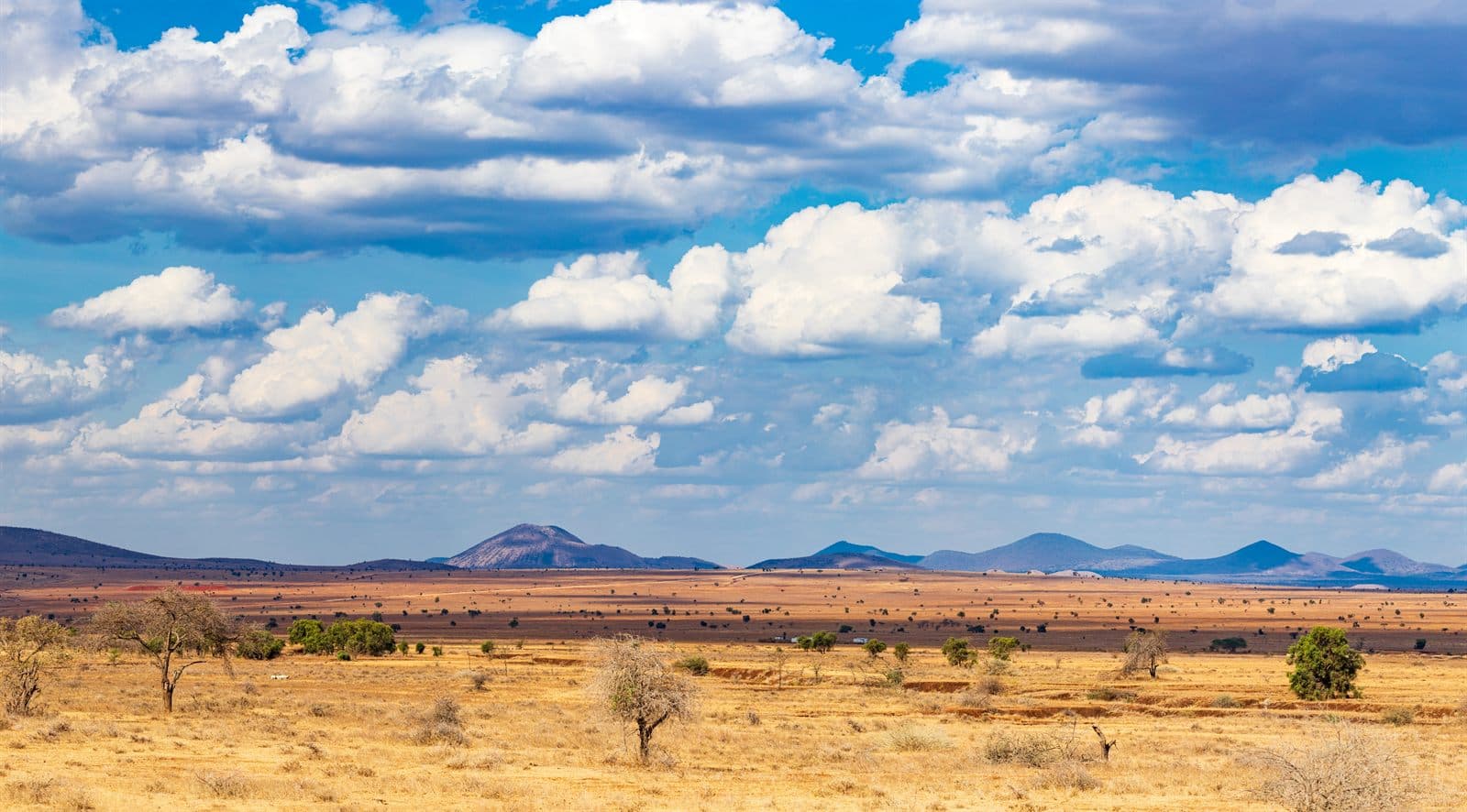 The Chyulu Hills