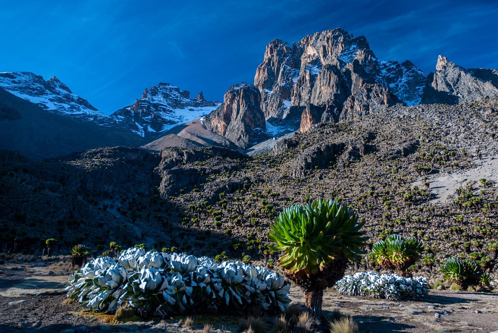 Mount Kenya