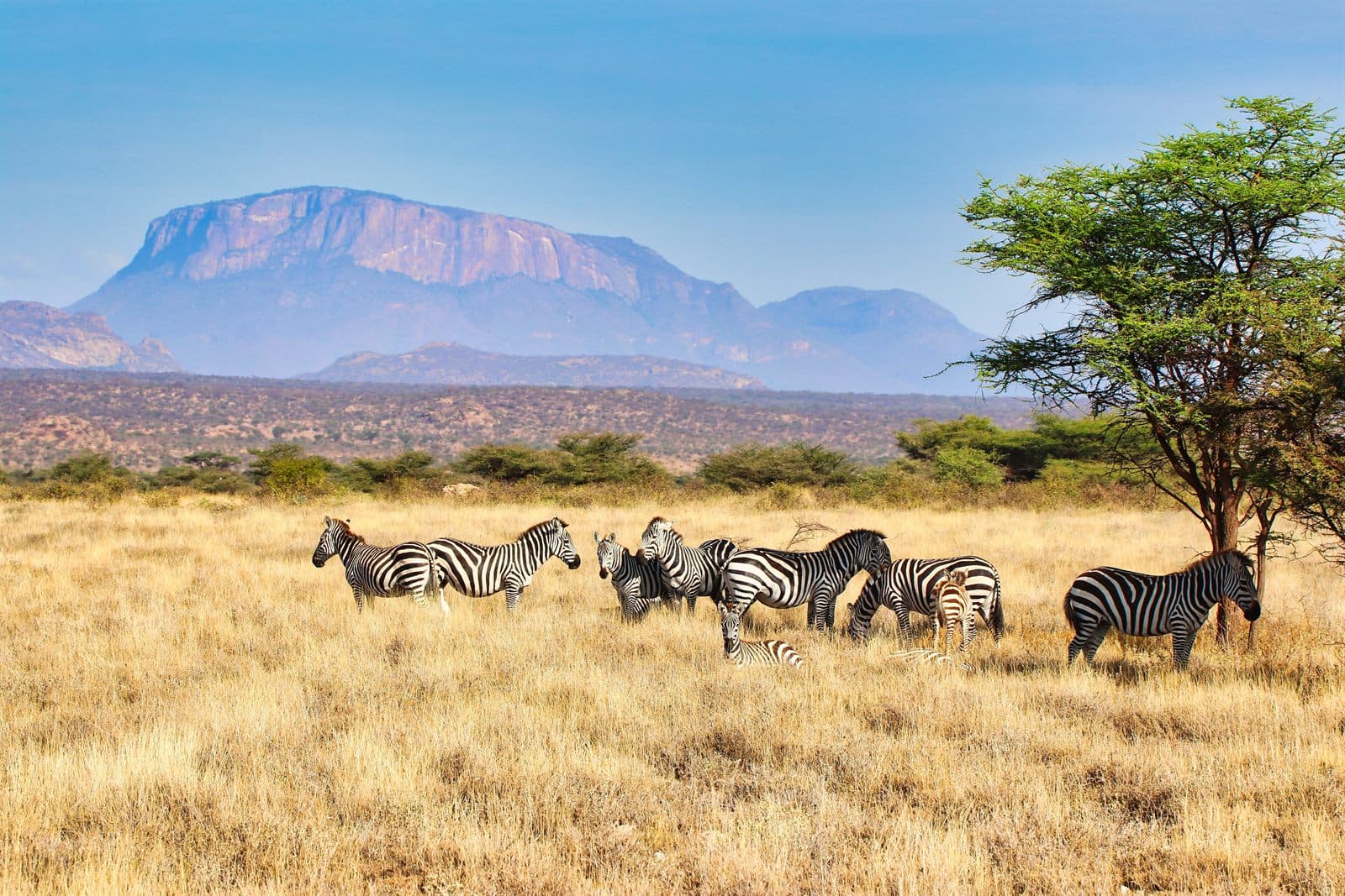Samburu National Reserve